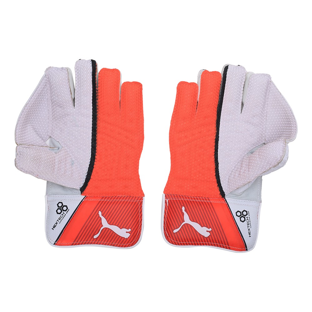 puma evo 1 wicket keeping gloves