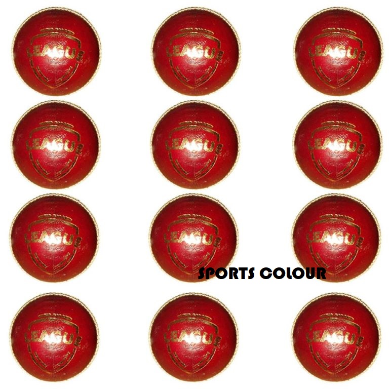 SG LEATHER CRICKET BALL