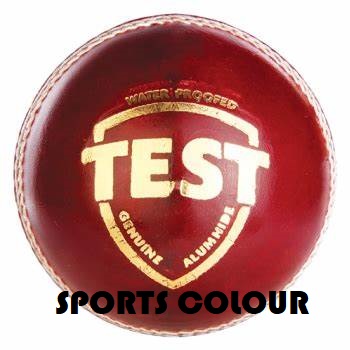 SG LEATHER CRICKET BALL